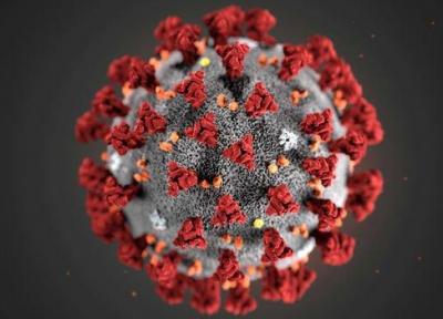 چگونگی نام گذاری ویروس ها، از ایدز تا کرونا